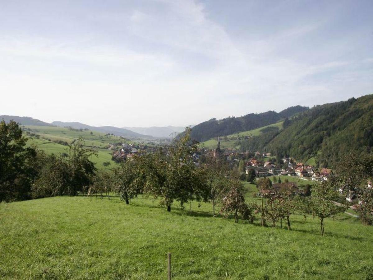 Pension Waldfrieden Oberharmersbach Buitenkant foto